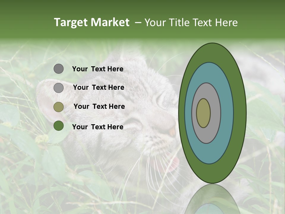 A Cat Laying In The Grass With Its Eyes Closed PowerPoint Template