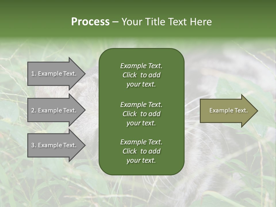 A Cat Laying In The Grass With Its Eyes Closed PowerPoint Template