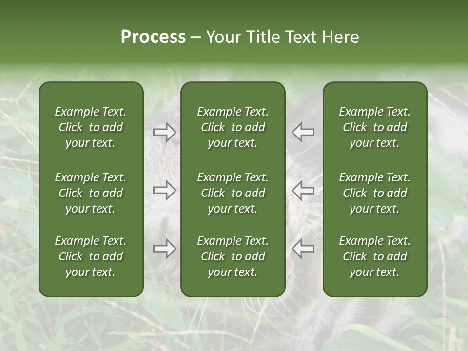 A Cat Laying In The Grass With Its Eyes Closed PowerPoint Template