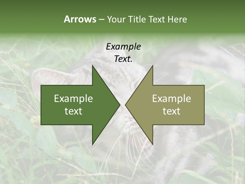 A Cat Laying In The Grass With Its Eyes Closed PowerPoint Template