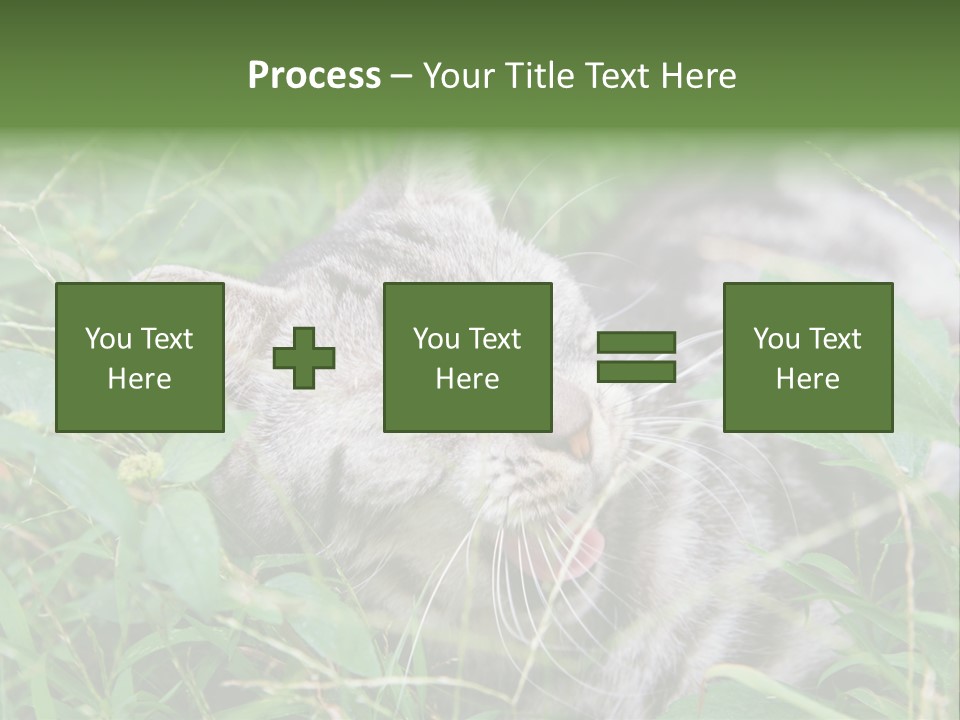 A Cat Laying In The Grass With Its Eyes Closed PowerPoint Template