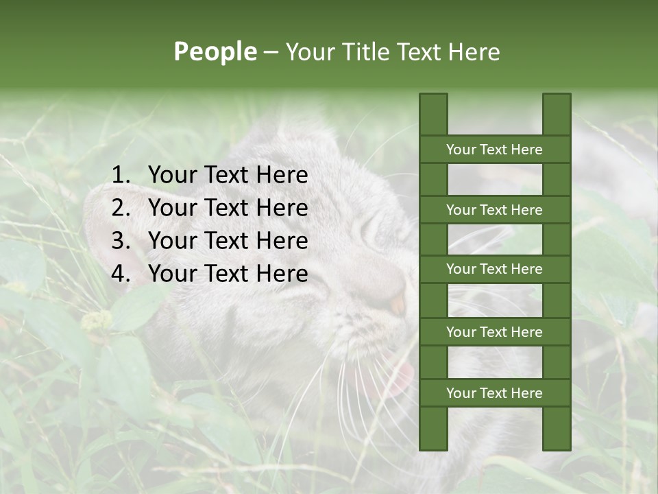 A Cat Laying In The Grass With Its Eyes Closed PowerPoint Template