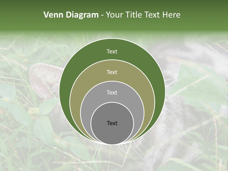 A Cat Laying In The Grass With Its Eyes Closed PowerPoint Template