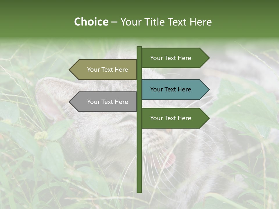 A Cat Laying In The Grass With Its Eyes Closed PowerPoint Template