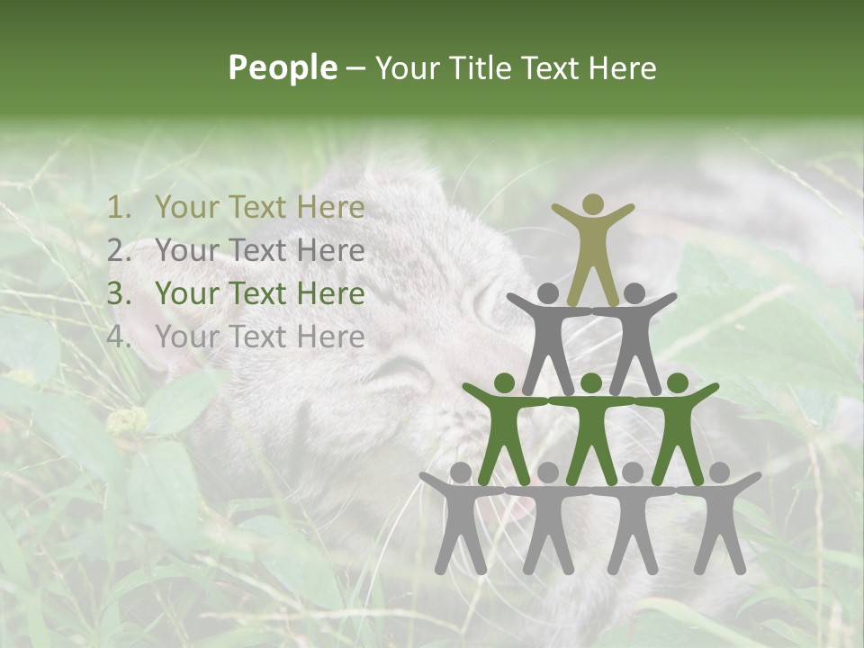 A Cat Laying In The Grass With Its Eyes Closed PowerPoint Template