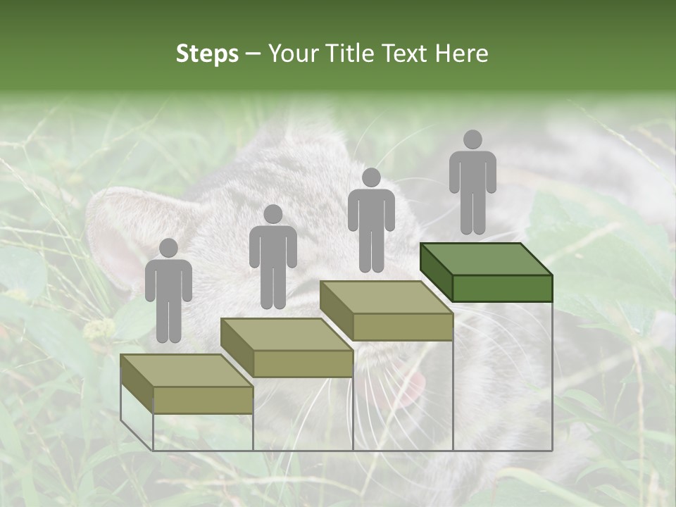 A Cat Laying In The Grass With Its Eyes Closed PowerPoint Template