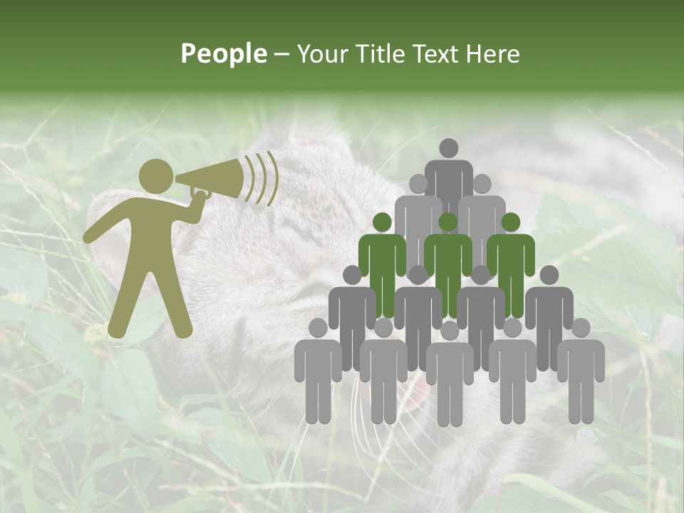 A Cat Laying In The Grass With Its Eyes Closed PowerPoint Template