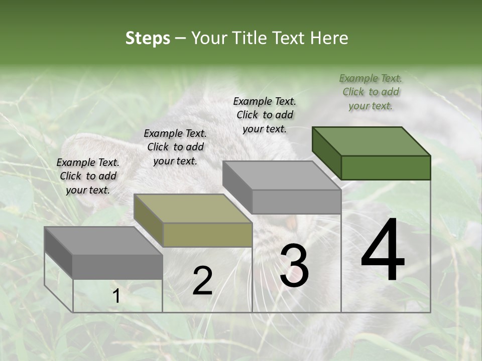 A Cat Laying In The Grass With Its Eyes Closed PowerPoint Template