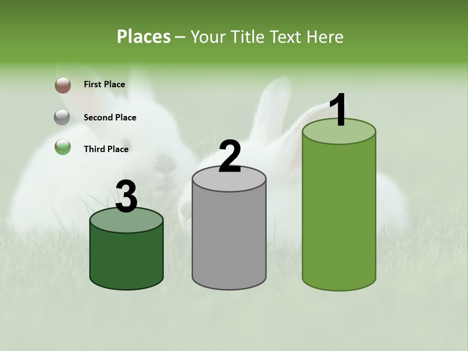 A Couple Of Rabbits Sitting In The Grass PowerPoint Template