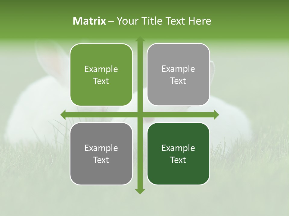 A Couple Of Rabbits Sitting In The Grass PowerPoint Template