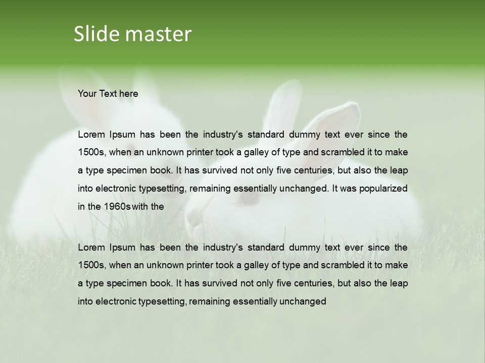 A Couple Of Rabbits Sitting In The Grass PowerPoint Template