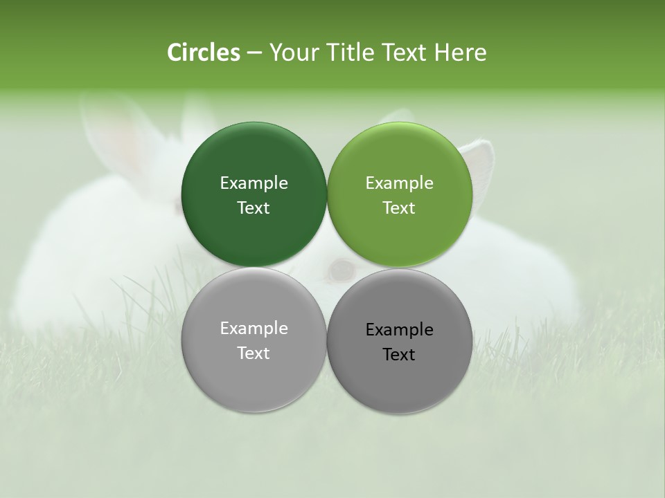 A Couple Of Rabbits Sitting In The Grass PowerPoint Template