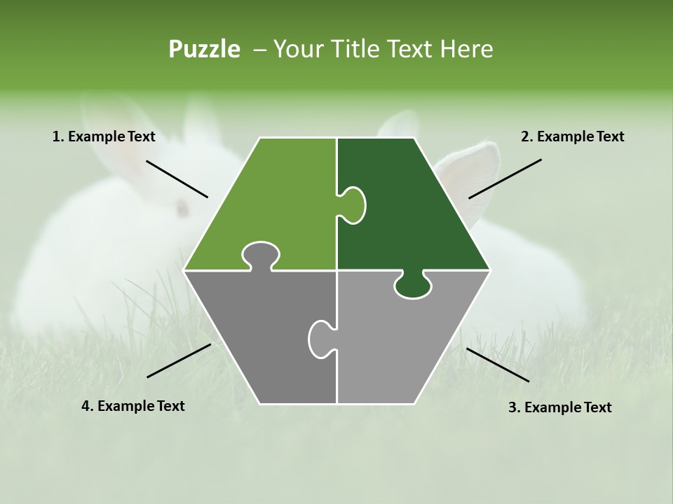 A Couple Of Rabbits Sitting In The Grass PowerPoint Template