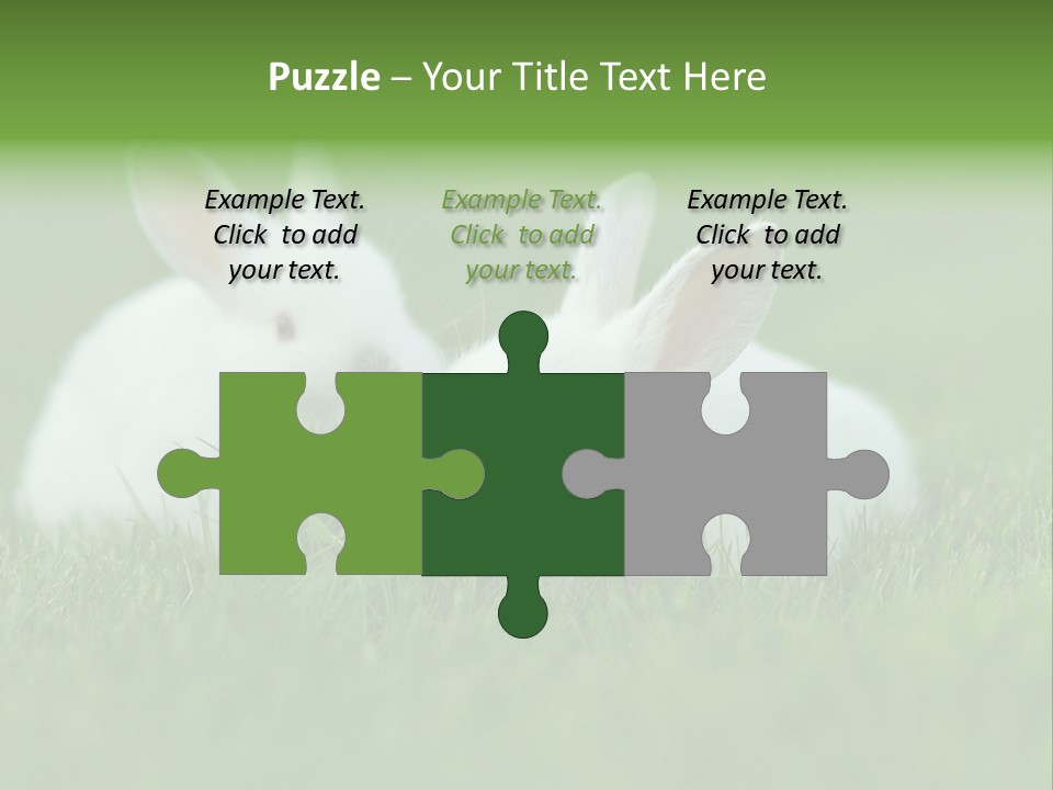 A Couple Of Rabbits Sitting In The Grass PowerPoint Template