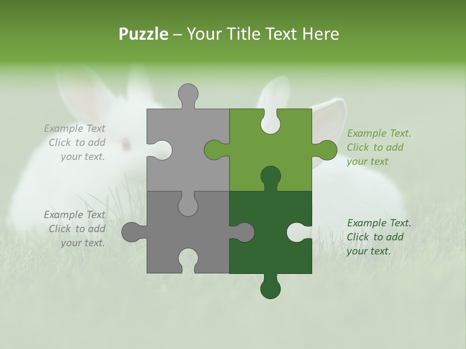 A Couple Of Rabbits Sitting In The Grass PowerPoint Template