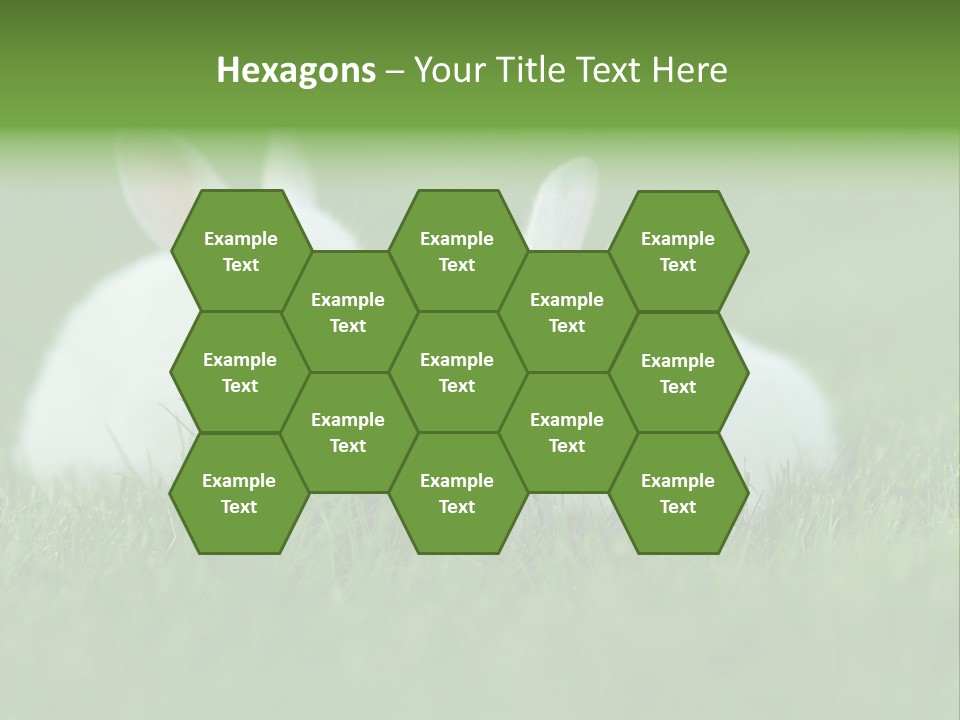 A Couple Of Rabbits Sitting In The Grass PowerPoint Template