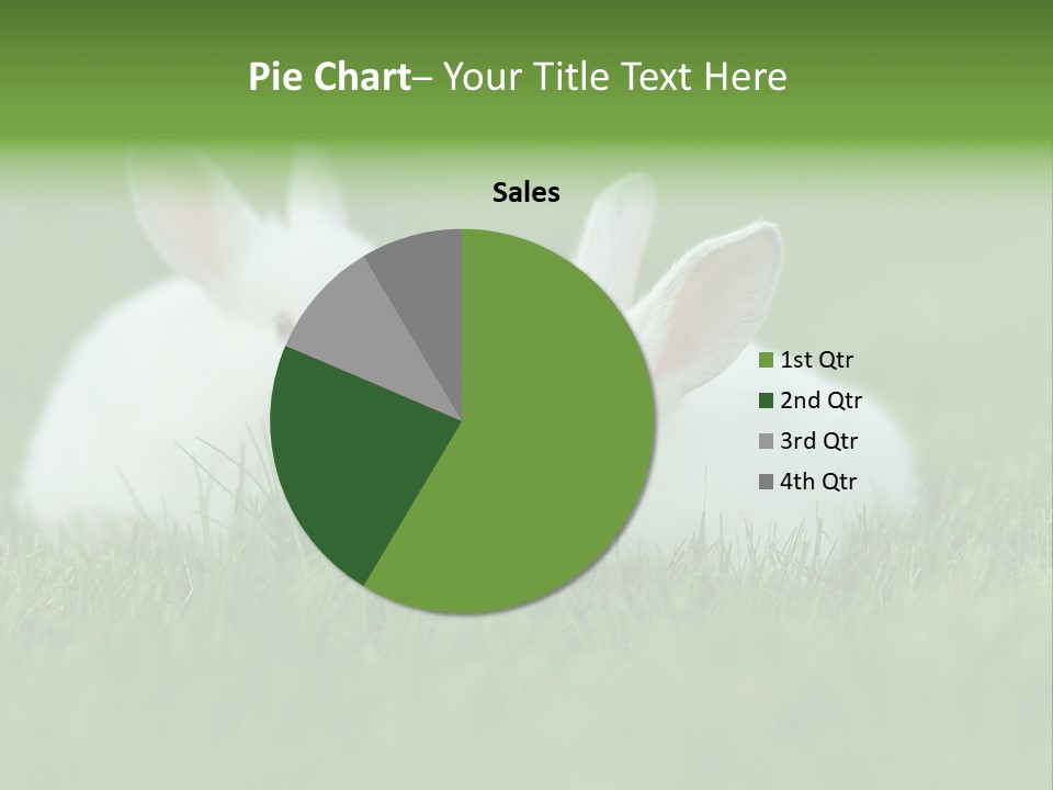 A Couple Of Rabbits Sitting In The Grass PowerPoint Template