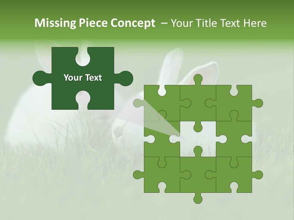 A Couple Of Rabbits Sitting In The Grass PowerPoint Template