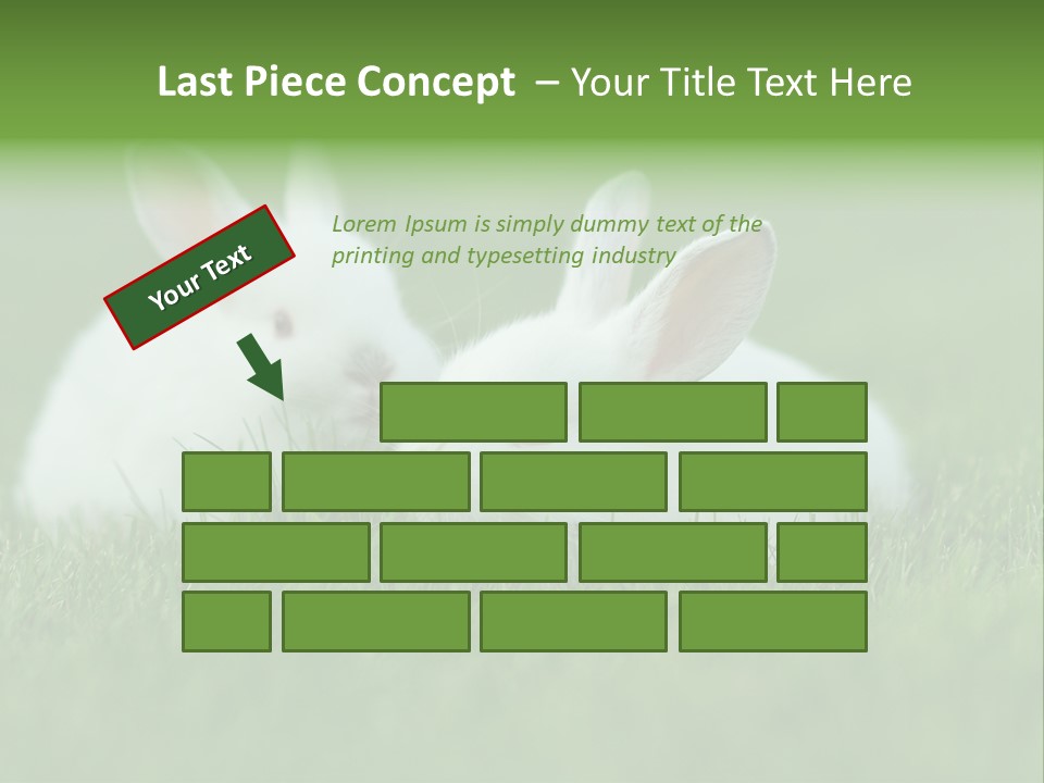 A Couple Of Rabbits Sitting In The Grass PowerPoint Template