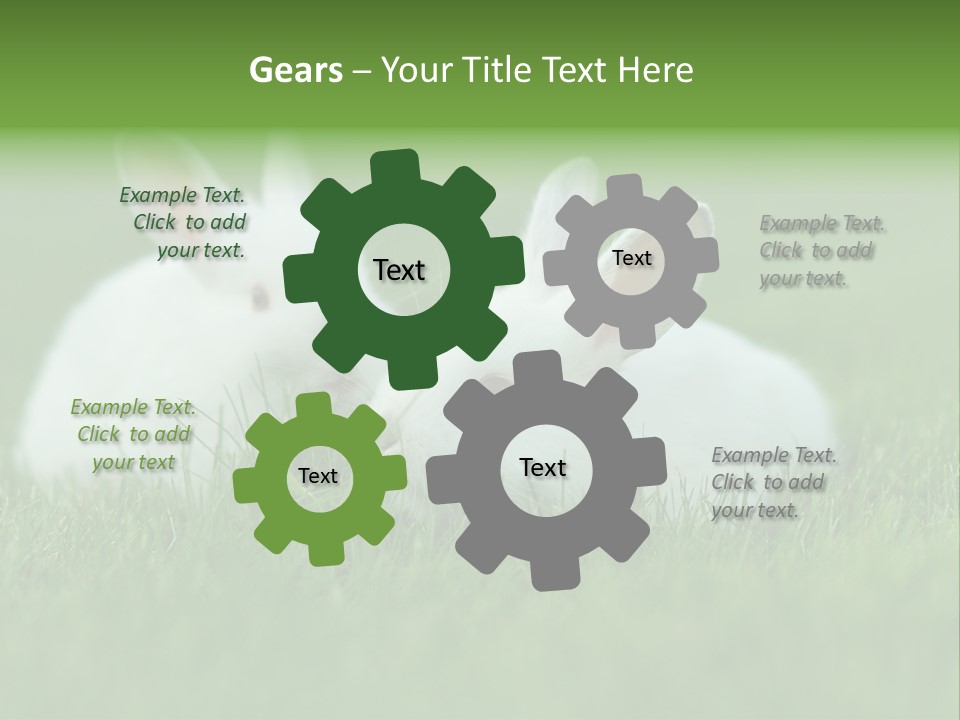 A Couple Of Rabbits Sitting In The Grass PowerPoint Template