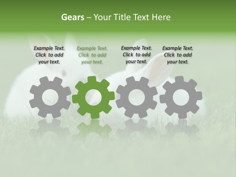 A Couple Of Rabbits Sitting In The Grass PowerPoint Template