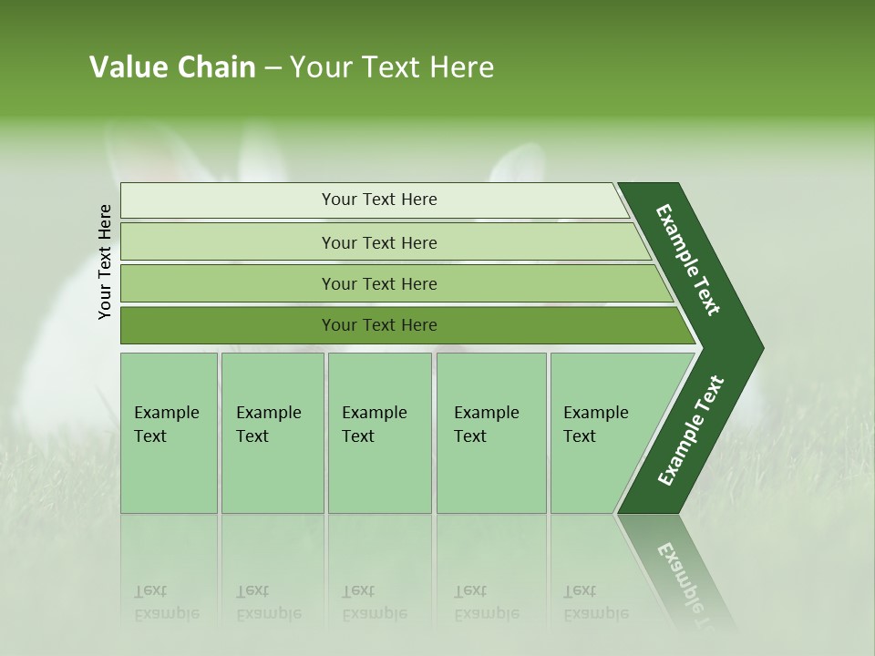 A Couple Of Rabbits Sitting In The Grass PowerPoint Template