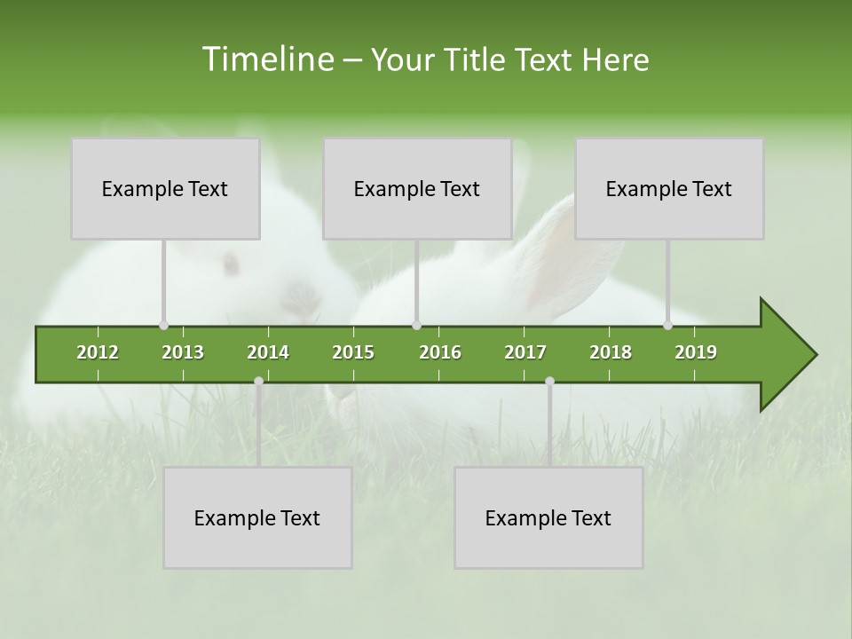 A Couple Of Rabbits Sitting In The Grass PowerPoint Template