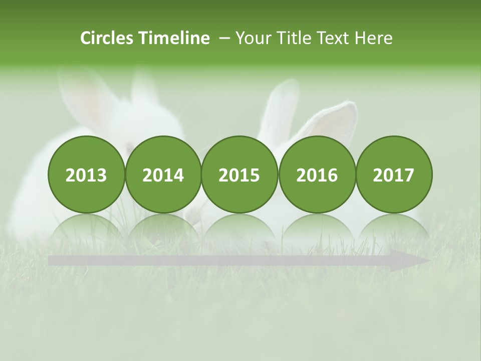 A Couple Of Rabbits Sitting In The Grass PowerPoint Template