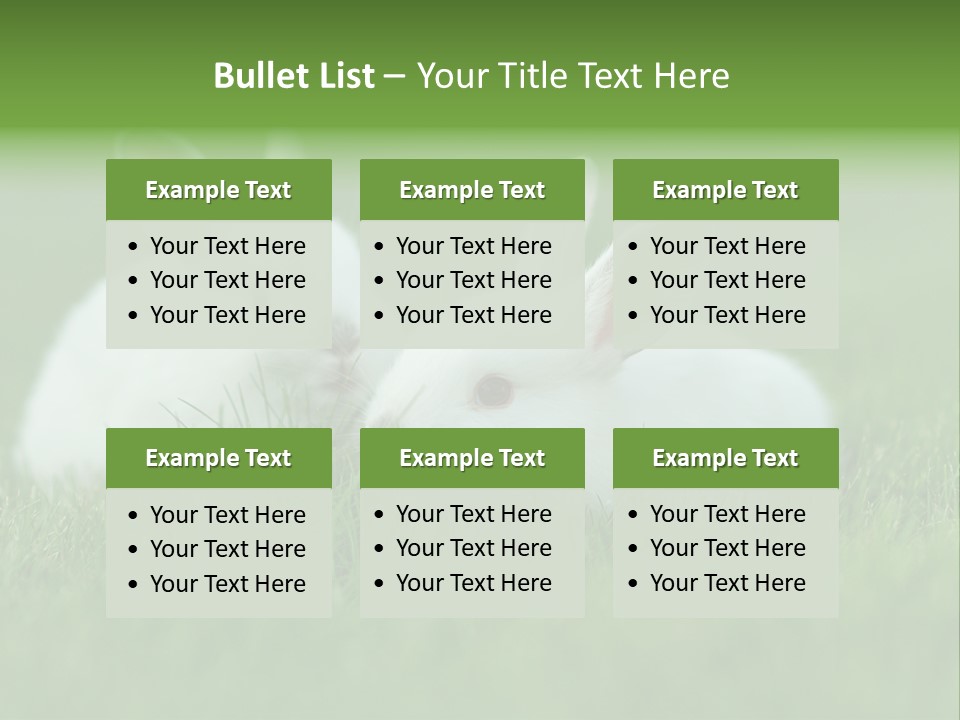 A Couple Of Rabbits Sitting In The Grass PowerPoint Template