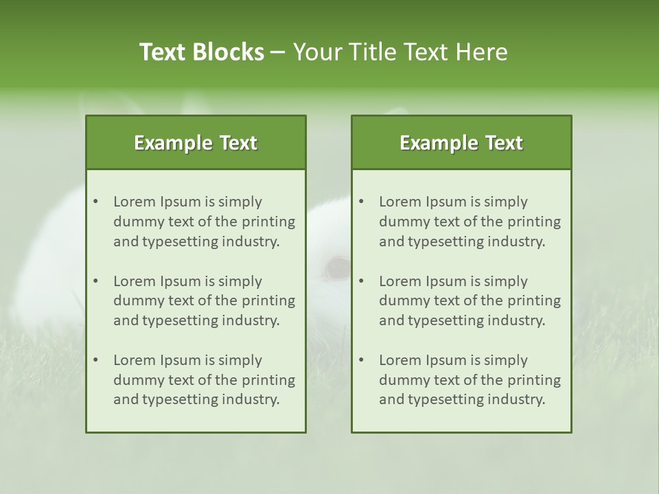 A Couple Of Rabbits Sitting In The Grass PowerPoint Template