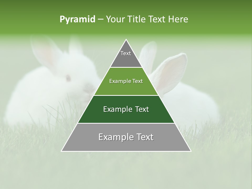 A Couple Of Rabbits Sitting In The Grass PowerPoint Template