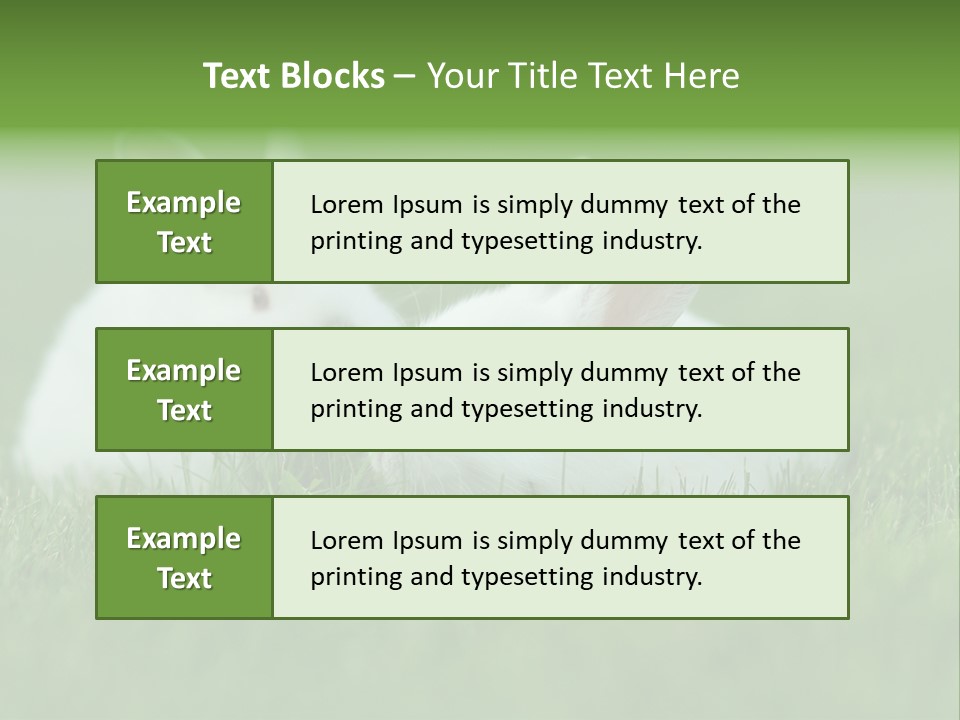 A Couple Of Rabbits Sitting In The Grass PowerPoint Template