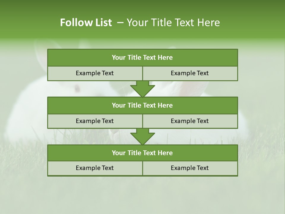 A Couple Of Rabbits Sitting In The Grass PowerPoint Template