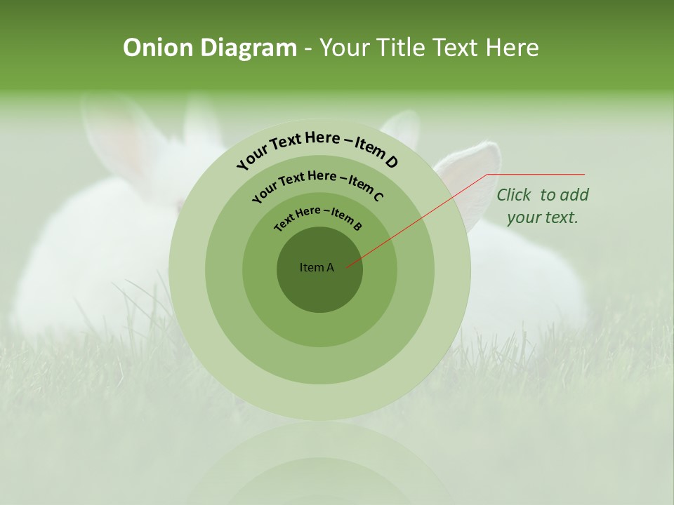 A Couple Of Rabbits Sitting In The Grass PowerPoint Template