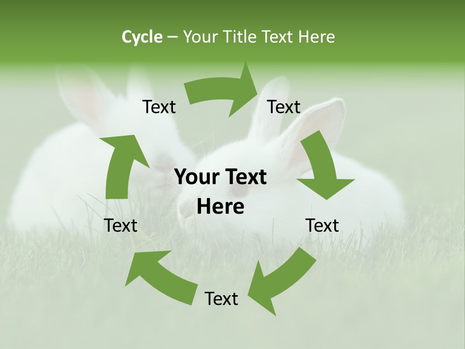 A Couple Of Rabbits Sitting In The Grass PowerPoint Template