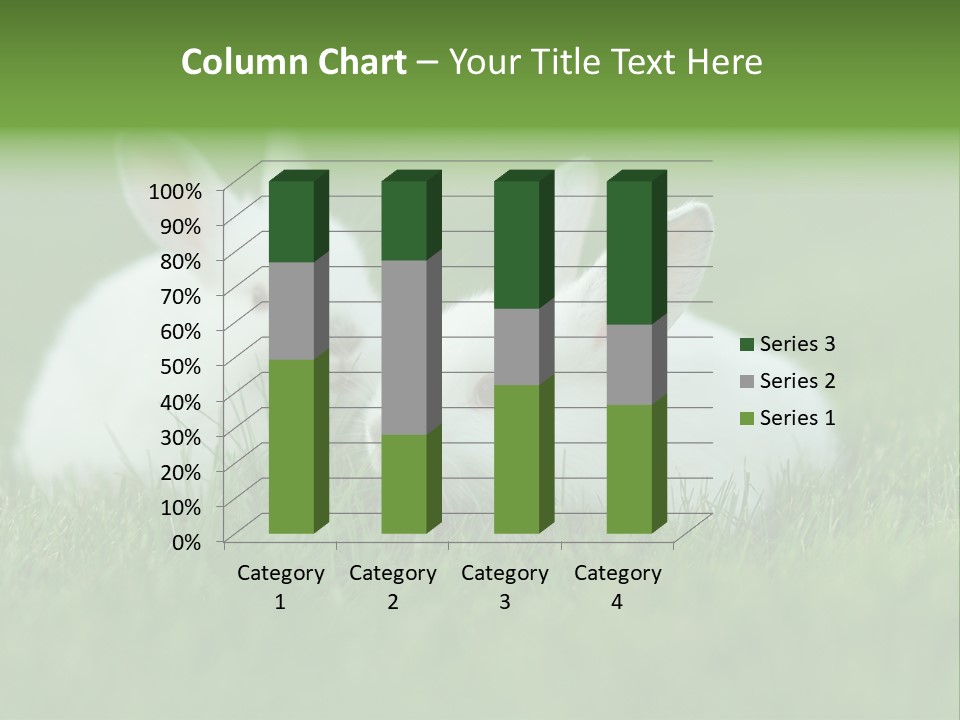 A Couple Of Rabbits Sitting In The Grass PowerPoint Template