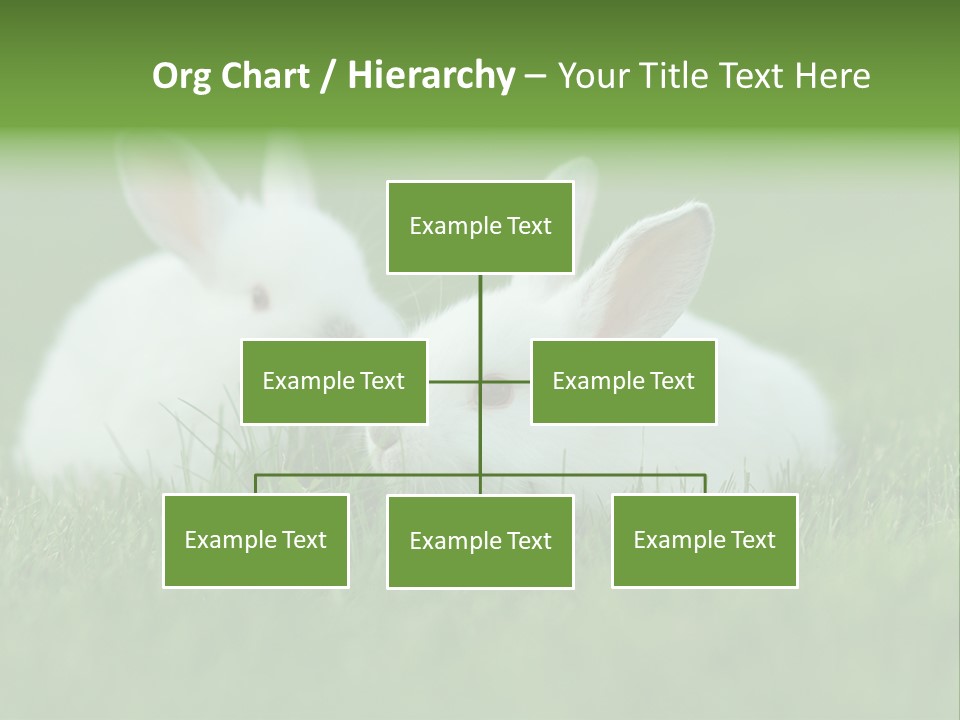 A Couple Of Rabbits Sitting In The Grass PowerPoint Template