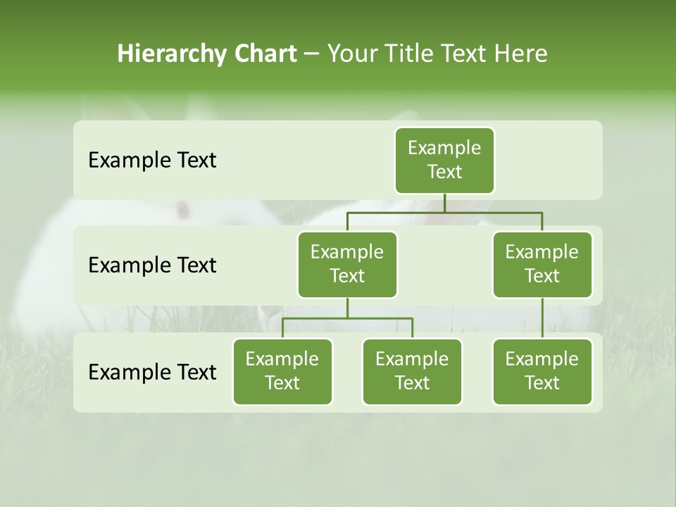 A Couple Of Rabbits Sitting In The Grass PowerPoint Template