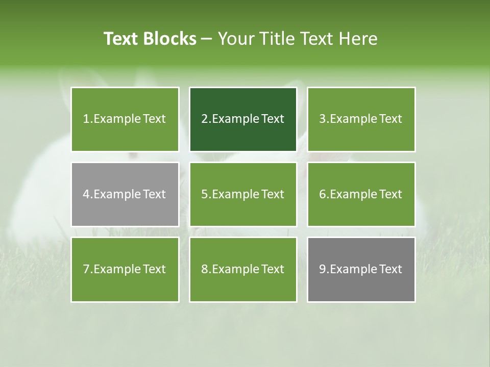 A Couple Of Rabbits Sitting In The Grass PowerPoint Template