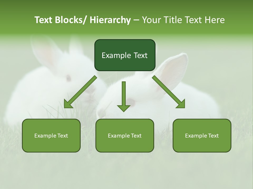 A Couple Of Rabbits Sitting In The Grass PowerPoint Template