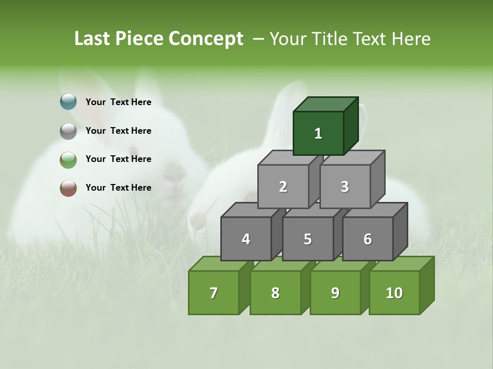 A Couple Of Rabbits Sitting In The Grass PowerPoint Template