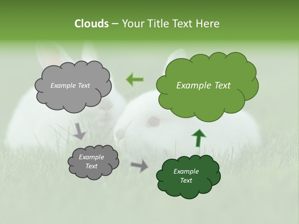 A Couple Of Rabbits Sitting In The Grass PowerPoint Template