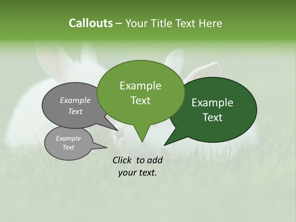 A Couple Of Rabbits Sitting In The Grass PowerPoint Template