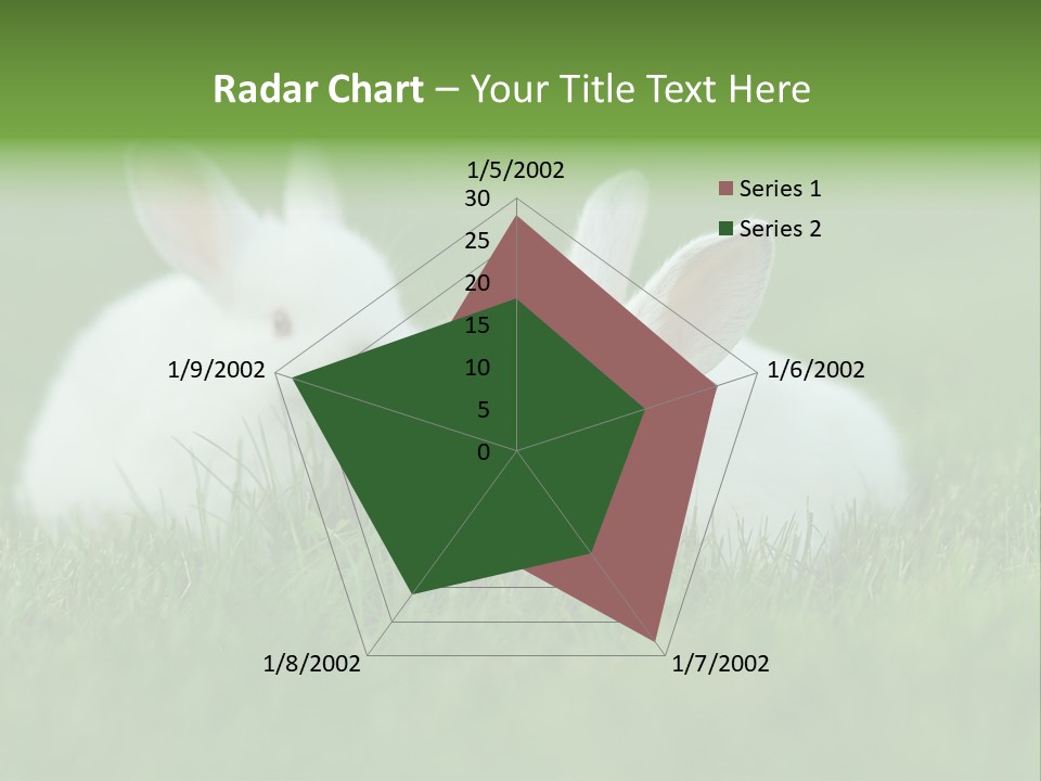 A Couple Of Rabbits Sitting In The Grass PowerPoint Template