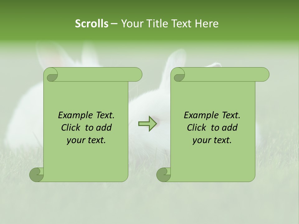A Couple Of Rabbits Sitting In The Grass PowerPoint Template