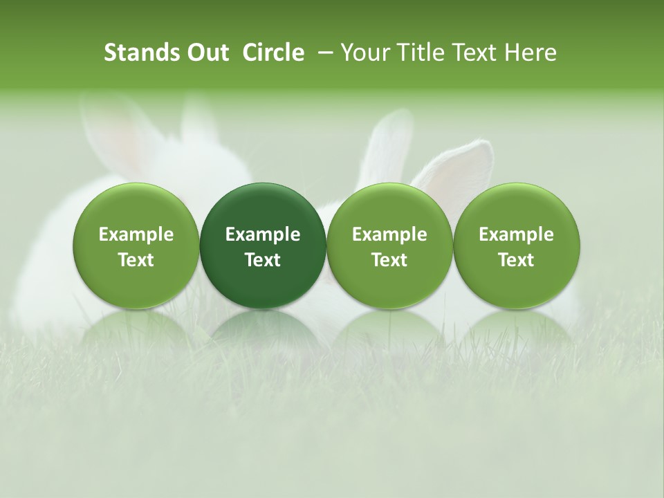 A Couple Of Rabbits Sitting In The Grass PowerPoint Template