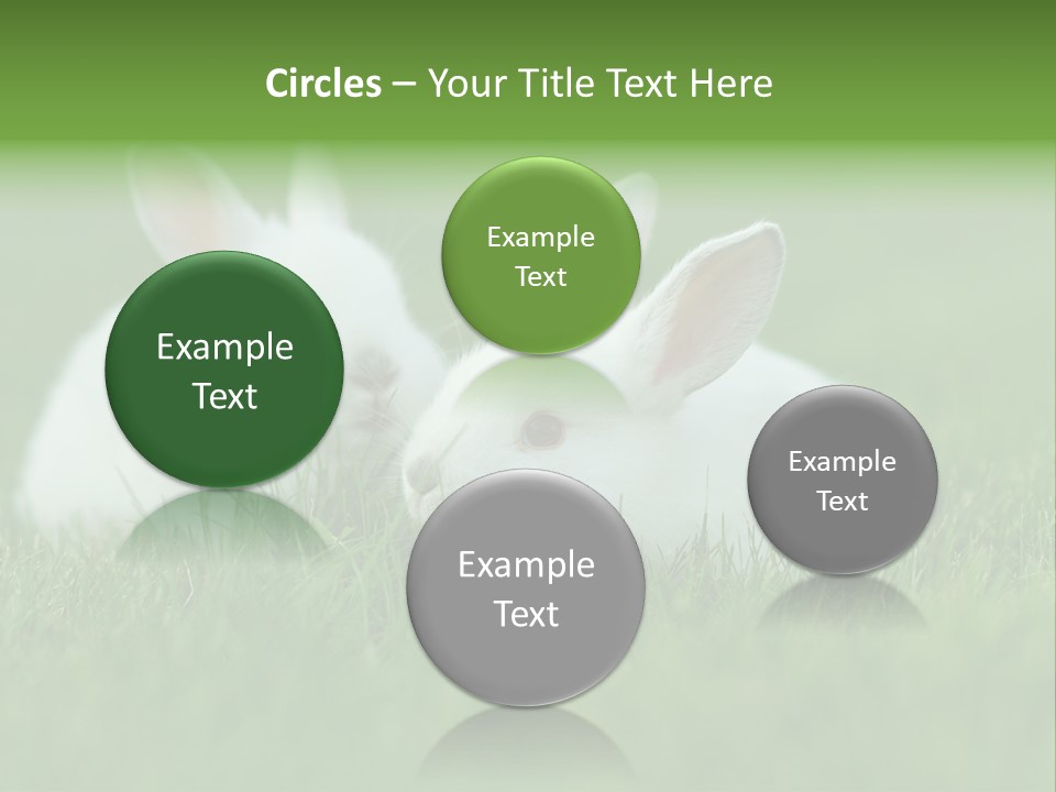 A Couple Of Rabbits Sitting In The Grass PowerPoint Template