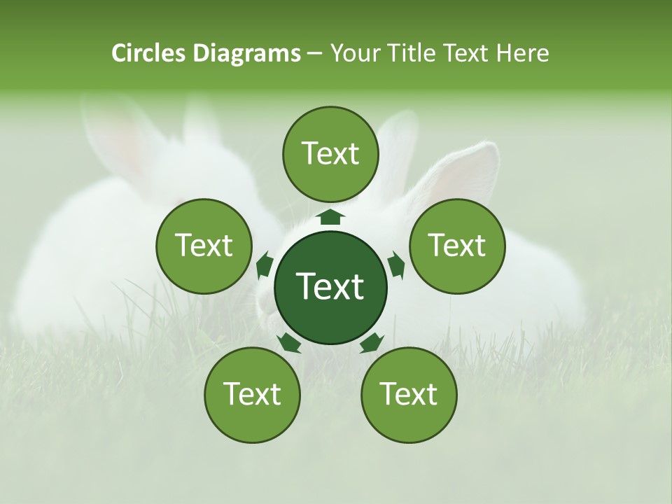 A Couple Of Rabbits Sitting In The Grass PowerPoint Template