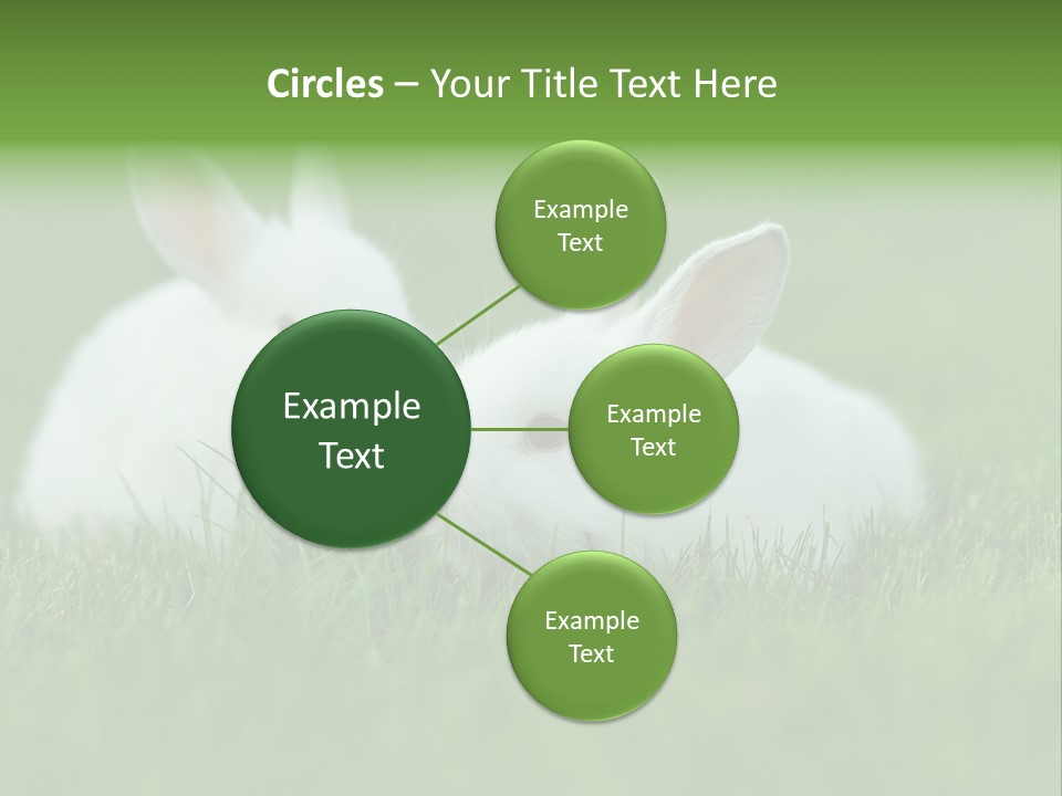 A Couple Of Rabbits Sitting In The Grass PowerPoint Template