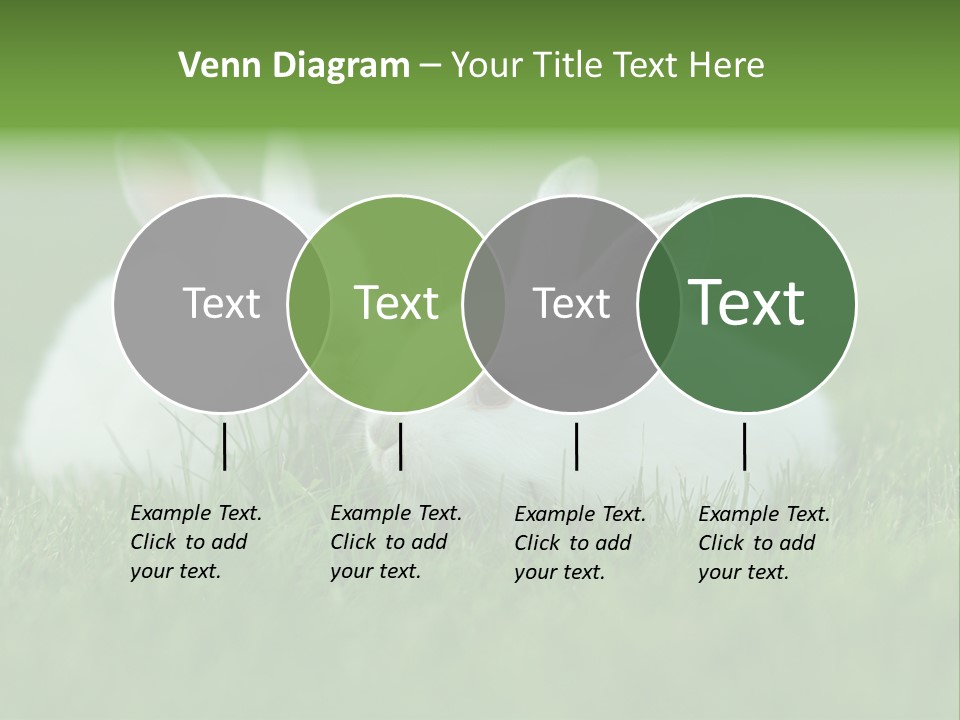 A Couple Of Rabbits Sitting In The Grass PowerPoint Template